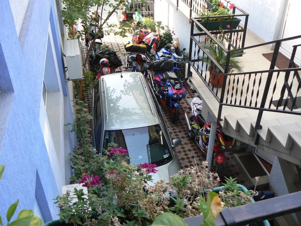 Hostel Tropicalドロベタ＝トゥルヌ・セヴェリン エクステリア 写真