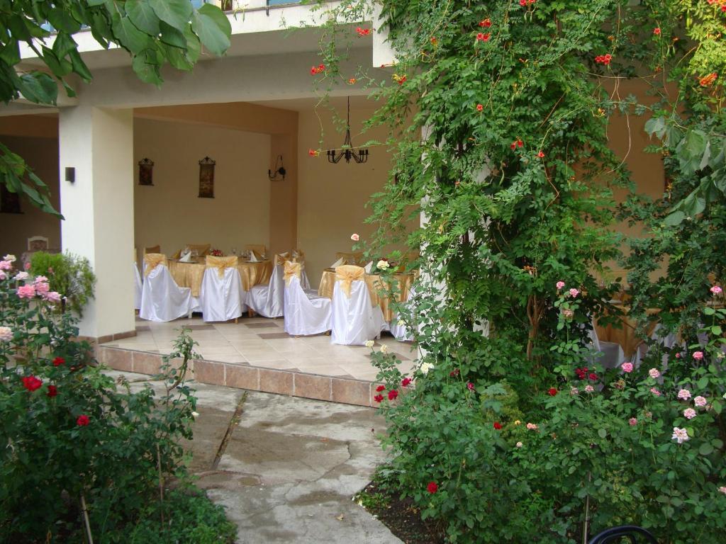 Hostel Tropicalドロベタ＝トゥルヌ・セヴェリン エクステリア 写真